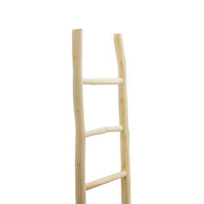 Styling Ladder